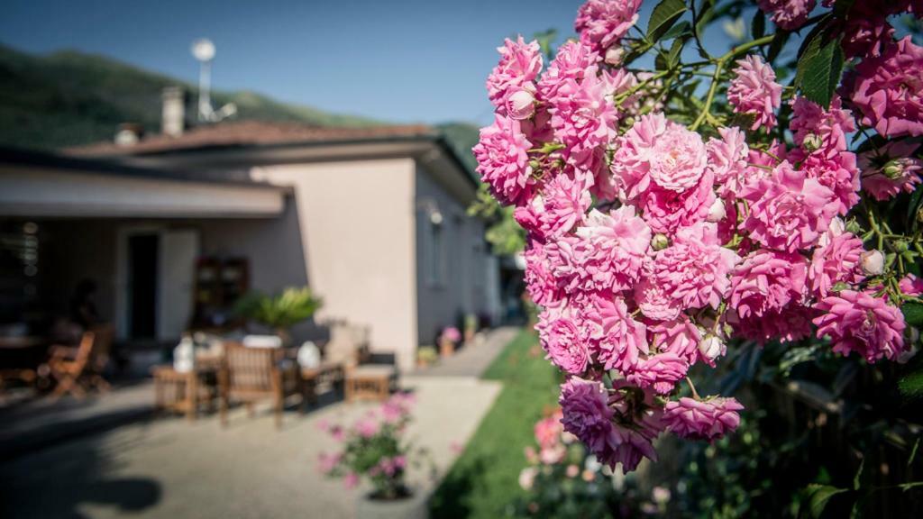 Villa Casa Vittoria à Camaiore Extérieur photo
